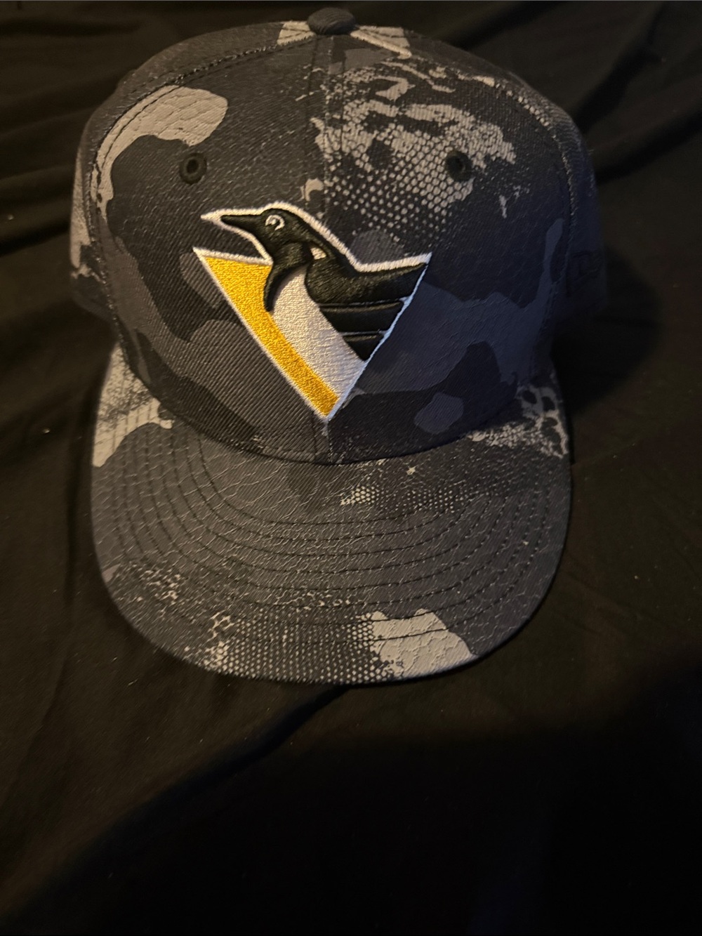 Pittsburgh Penguins Hat